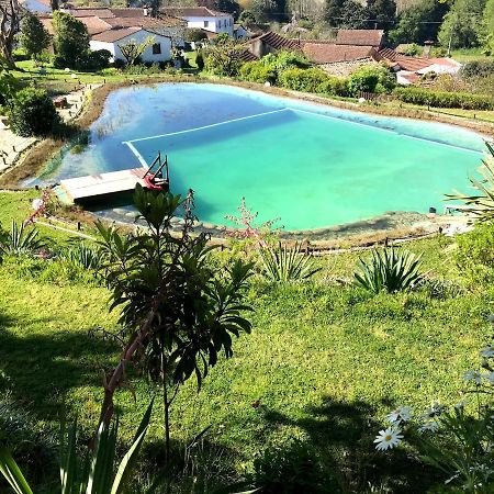 Quinta Da Fontoura Guest House Alquerubim Bagian luar foto