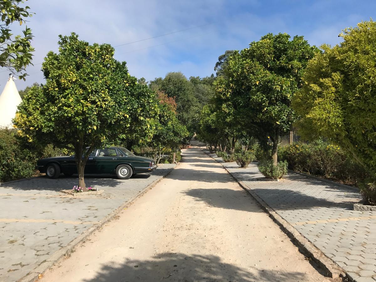 Quinta Da Fontoura Guest House Alquerubim Bagian luar foto